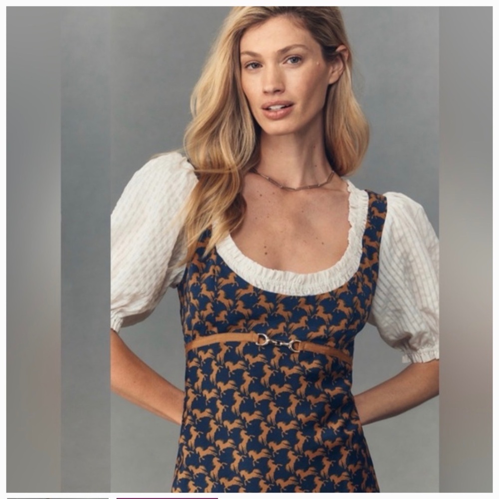 Anthropologie Maeve horse equestrian dress SZ LG